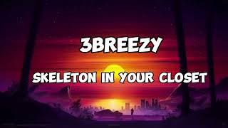 3breezy Skeleton in Your Closet Lyrics [upl. by Schreiber330]