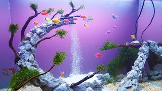 AMAZING WATERFALL AQUARIUM  Aquascape Waterfall Setup Step by Step Tutorial [upl. by Adlai]