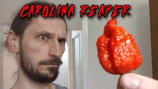 CAROLINA REAPER ŚWIEŻA PAPRYCZKA BEZ ZAPIJANIA CHALLANGE [upl. by Ambrosane760]