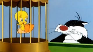 CREO QUE VI UN LINDO GATITO SHORT SILVESTRE Y PIOLIN  LOONEY TUNES [upl. by Enitsirhc371]