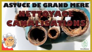 Nettoyage canalisations remède de grand mère [upl. by Fulmer]