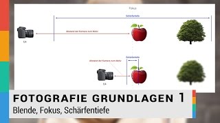 Blende Fokus Schärfentiefe einfach erklärt  Fotografie Grundlagen 1  HD [upl. by Carlile649]