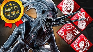 ACIDIC EMBRACE XENOMORPH BUILD  DBD Build Of The Week [upl. by Nailij]