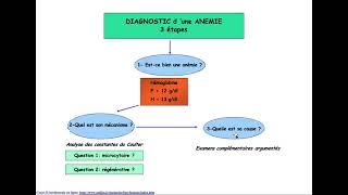 Hemato  01CAT devant une anémie avec révision du chapitre GR DrAbbadi [upl. by Jerald]