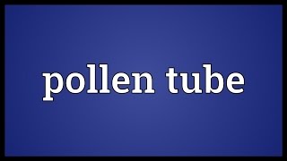 Pollen tube Meaning [upl. by Gnuy]