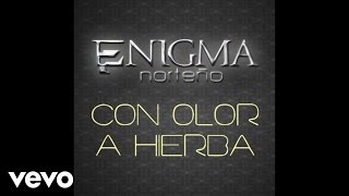 Enigma Norteño  Con Olor A Hierba AudioEn Vivo [upl. by Esekram]