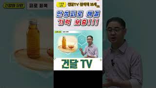 건달TV 만성피로 해결 기력보충만성피로식초건달TV건강정보 [upl. by Llennyl]