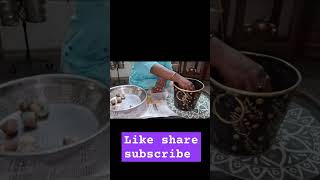 How to save tulip bulb shortsviral shortsfyp shortsfeed shortslife shortvideo [upl. by Gershon]