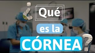 ¿Qué es la Córnea [upl. by Ronalda]