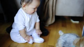 Baby Laughs When Dog Sneezes [upl. by Bergeron]