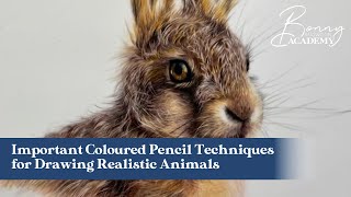 Important Coloured Pencil Techniques for Drawing Realistic Animals [upl. by Llessur560]