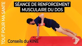 9 exercices de renforcement musculaire du dos [upl. by Maggy]