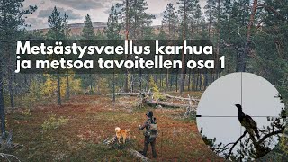 Metsästysvaellus karhua ja metsoa tavoitellen OSA 1  Erältä ja Elämästä [upl. by Antoine]