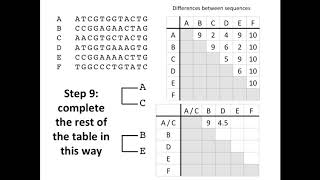 Creating a Phylogenetic Tree [upl. by Ahsimot575]