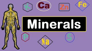 Mineral Nutrition Macro amp Trace  Functions amp Sources  Human body [upl. by Ursala36]