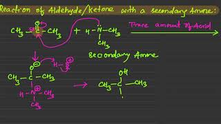 Enamine formation Reaction of aldehydeketone with a secondary amine [upl. by Llenrag]