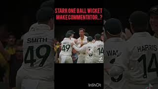 mitchellstarc excellent bowling mitchellstarc wicket reaction [upl. by Aleece]