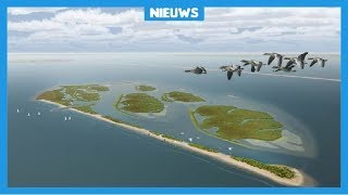 Nederland heeft opeens vijf nieuwe eilandjes [upl. by Anahsar]