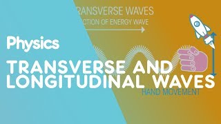 Transverse amp Longitudinal Waves  Waves  Physics  FuseSchool [upl. by Threlkeld]