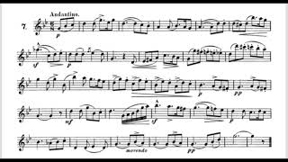 Wiedemann 45 Etudes No‘7 [upl. by Jeno]