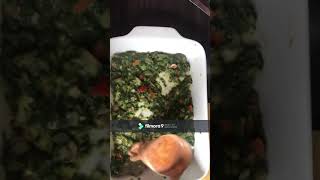 vegetarische Spinat Lasagne vegetarian Spinach Lasagna [upl. by Akemak662]