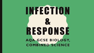 Infection and Response Revision  GCSE BiologyCombined Science [upl. by Hasseman]