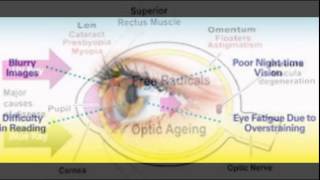 Zeaxanthin For Eyes [upl. by Sergias904]