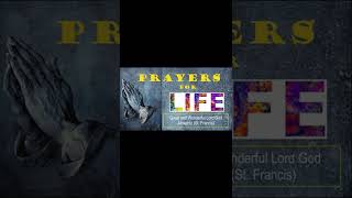 Great and Wonderful Lord God Almighty St Francis Prayers for Life shorts [upl. by Doss637]