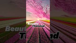 Beautiful thailand [upl. by Maker]