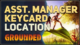 Asst Manager Keycard Location Grounded [upl. by Aeslahc]