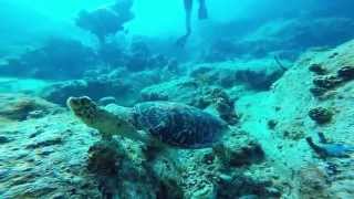 Shipwreck Cove at Buck Island St Thomas USVI [upl. by Clarabelle87]