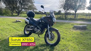 Suzuki Freewind XF650 2002 [upl. by Darees144]