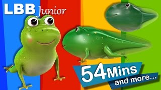 Life Cycle of A Frog Song  And Lots More Original Songs  From LBB Junior [upl. by Lledo]