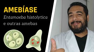 Amebíase Entamoeba histolytica e Amebas Parasitas  Parasitologia Humana Básica e Clínica [upl. by Asilrak]