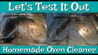 Lets Test It OutHomemade Oven Cleaner [upl. by Henka602]