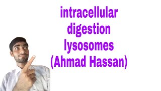 Intracellular digestion by lysosomes  Intracellular digestion by lysosome [upl. by Aihsemat]