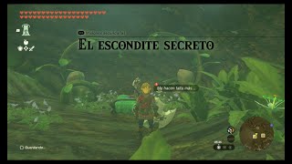 MISIONES SECUNDARIAS EL ESCONDITE SECRETO  THE LEGEND OF ZELDA TEARS OF THE KINGDOM [upl. by Omolhs]