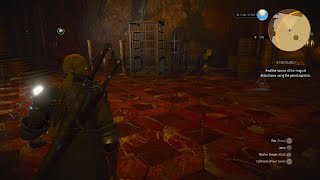 The Witcher 3 Wild Hunt find the source of the magical disturbance using the potestaquisitor [upl. by Landing]