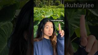 How to pronounce common Hawaiian words ✨hawaiian language viral shorts [upl. by Piane210]