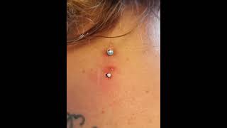 The Piercings MicroDermal Piercing by Ferry wwwthepiercingseu  Instathepierc [upl. by Sokairyk]