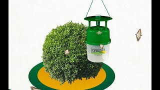 TOPBUXUS Box Tree Moth Trap  Installation Guide [upl. by Harlow]