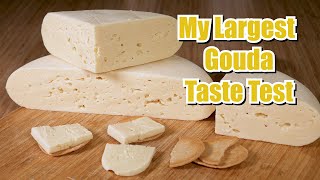 My Largest Gouda Taste Test [upl. by Neibaf142]