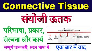 sanyoji utak  connective tissue in hindi  connective tissue anatomy and physiology  animal tissue [upl. by Salomo]