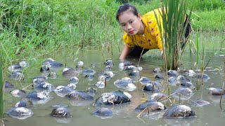 Harvesting oysters to sell at the market  cooking with mushrooms and tofu l Lý Thị Sai [upl. by Nirtak282]