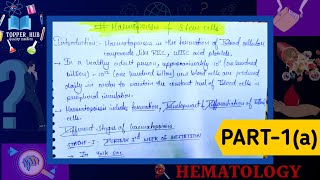 Haematopoiesis  Blood cells formation  Different states of haematopoiesis  Bone marrow [upl. by Adnilav]