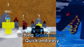 How To Get Shark Race V3 Blox Fruits Easy Guide 2024 [upl. by Edasalof]