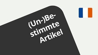 Der unbestimmte und der bestimme Artikel im Französischen  Französisch  Grammatik [upl. by Roobbie]