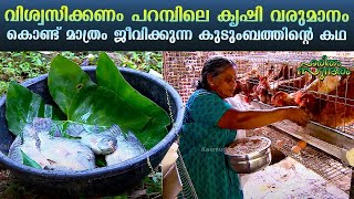 You wont believe A family living in Kollam Pattazhy with the backup of farm income only  EP 304 [upl. by Aciretehs931]