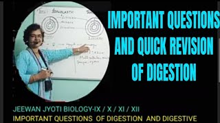 DIFFERENT TYPES OF QUESTIONS OF DIGESTION AND DIGESTIVE SYSTEM WITH DIAGRAMS [upl. by Lenahs]