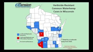 Practical Weed Management for LowMargin Years [upl. by Margareta]